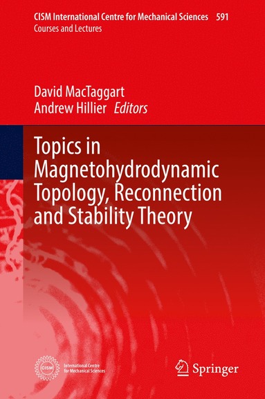 bokomslag Topics in Magnetohydrodynamic Topology, Reconnection and Stability Theory