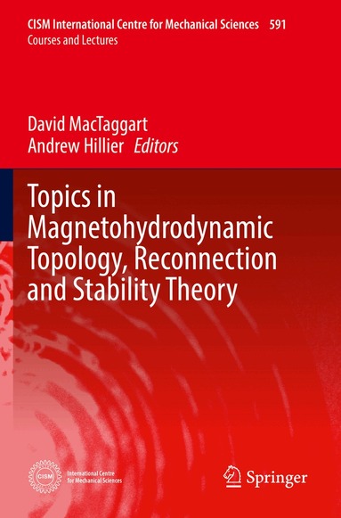 David MacTaggart, Andrew Hillier - Topics in Magnetohydrodynamic Topology, Reconnection and Stability Theory, Häftad