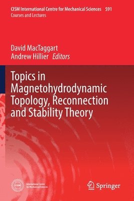 bokomslag Topics in Magnetohydrodynamic Topology, Reconnection and Stability Theory