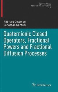 bokomslag Quaternionic Closed Operators, Fractional Powers and Fractional Diffusion Processes