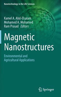 Magnetic Nanostructures
