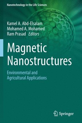 bokomslag Magnetic Nanostructures