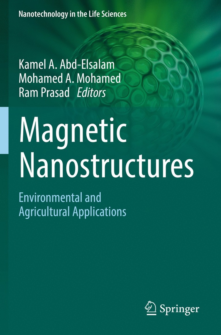 Magnetic Nanostructures