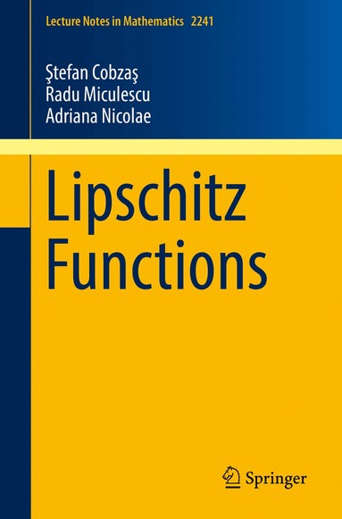 Ştefan Cobzaş, Radu Miculescu, Adriana Nicolae - Lipschitz Functions, Häftad