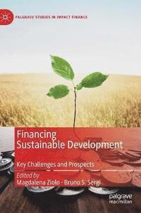 bokomslag Financing Sustainable Development