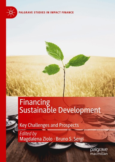 Magdalena Ziolo, Bruno S. Sergi - Financing Sustainable Development, Inbunden
