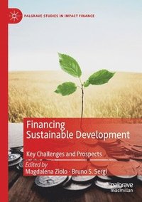 bokomslag Financing Sustainable Development