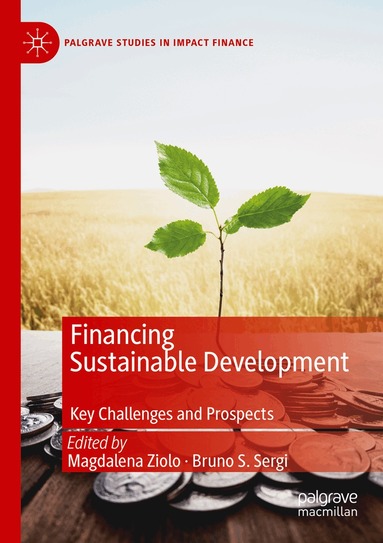 Magdalena Ziolo, Bruno S. Sergi - Financing Sustainable Development, Häftad