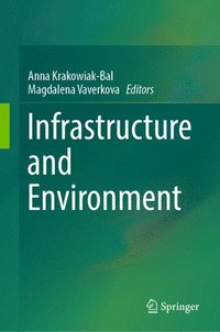 bokomslag Infrastructure and Environment