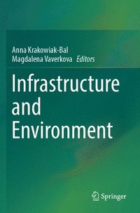 bokomslag Infrastructure and Environment