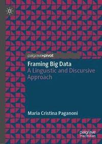 bokomslag Framing Big Data