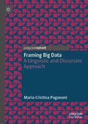 bokomslag Framing Big Data