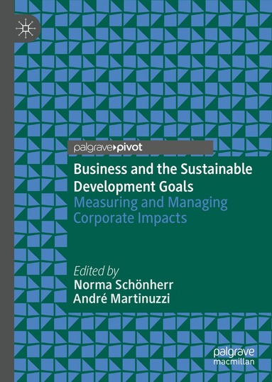 Norma Schönherr, André Martinuzzi - Business and the Sustainable Development Goals, Inbunden