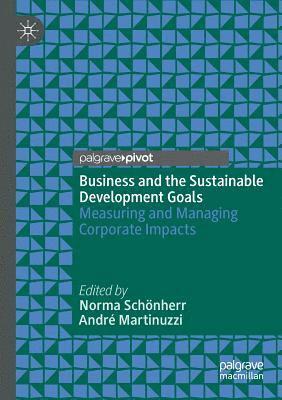 Business and the Sustainable Development Goals: Measuring and Managing Corporate Impacts