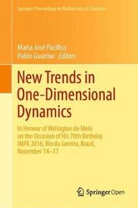 bokomslag New Trends in One-Dimensional Dynamics