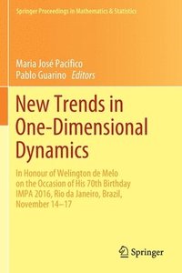 bokomslag New Trends in One-Dimensional Dynamics