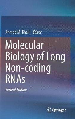 bokomslag Molecular Biology of Long Non-coding RNAs