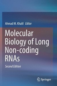 bokomslag Molecular Biology of Long Non-coding RNAs