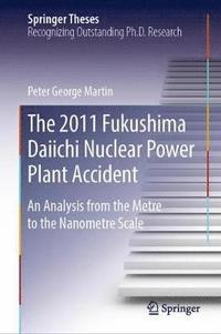 bokomslag The 2011 Fukushima Daiichi Nuclear Power Plant Accident