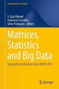 bokomslag Matrices, Statistics and Big Data