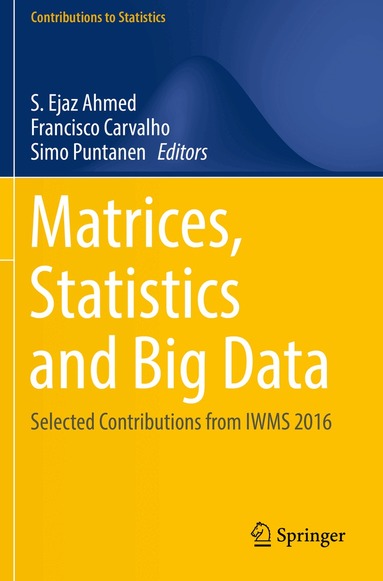 S. Ejaz Ahmed, Francisco Carvalho, Simo Puntanen - Matrices, Statistics and Big Data, Häftad