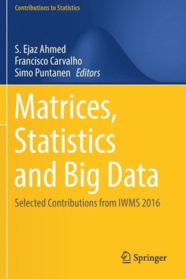 bokomslag Matrices, Statistics and Big Data