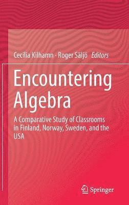 bokomslag Encountering Algebra