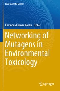 bokomslag Networking of Mutagens in Environmental Toxicology