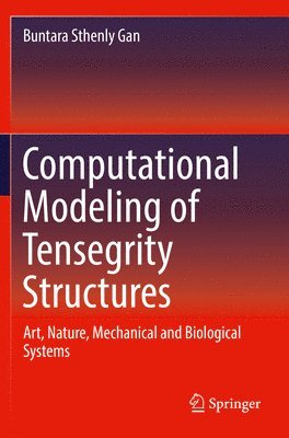 bokomslag Computational Modeling of Tensegrity Structures