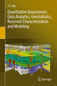 bokomslag Quantitative Geosciences: Data Analytics, Geostatistics, Reservoir Characterization and Modeling