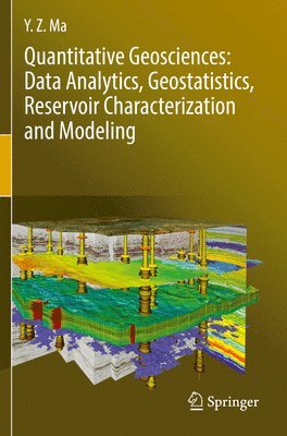 bokomslag Quantitative Geosciences: Data Analytics, Geostatistics, Reservoir Characterization and Modeling