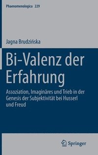 bokomslag Bi-Valenz der Erfahrung