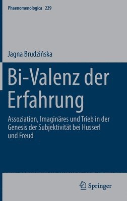 Bi-Valenz der Erfahrung 1