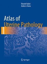 bokomslag Atlas of Uterine Pathology