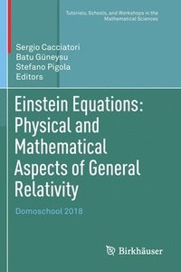 bokomslag Einstein Equations: Physical and Mathematical Aspects of General Relativity