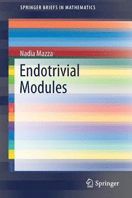 Nadia Mazza - Endotrivial Modules, Häftad
