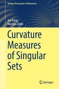 bokomslag Curvature Measures of Singular Sets