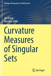 bokomslag Curvature Measures of Singular Sets