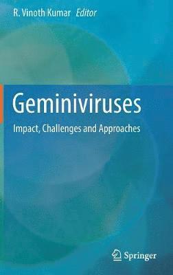 bokomslag Geminiviruses