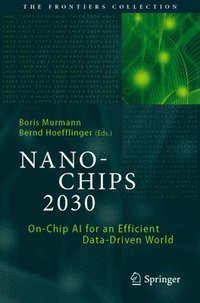 bokomslag NANO-CHIPS 2030