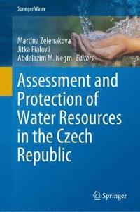 bokomslag Assessment and Protection of Water Resources in the Czech Republic