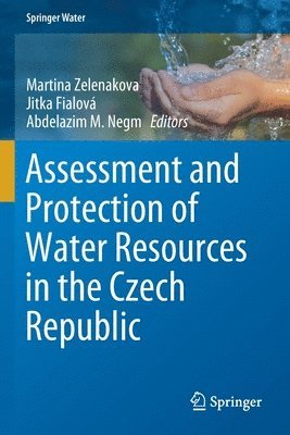 bokomslag Assessment and Protection of Water Resources in the Czech Republic