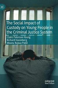 bokomslag The Social Impact of Custody on Young People in the Criminal Justice System