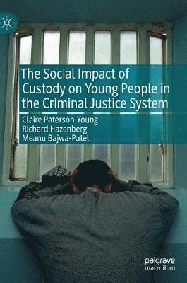 bokomslag Social Impact of Custody on Young People in the Criminal Justice System