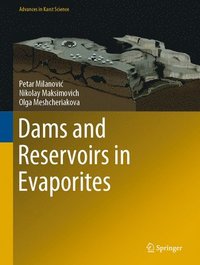 bokomslag Dams and Reservoirs in Evaporites