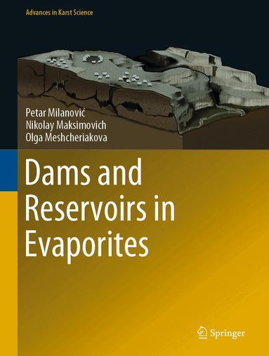 Petar Milanović, Nikolay Maksimovich, Olga Meshcheriakova - Dams and Reservoirs in Evaporites, Inbunden