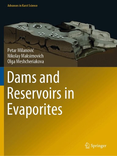 Petar Milanović, Nikolay Maksimovich, Olga Meshcheriakova - Dams and Reservoirs in Evaporites, Häftad