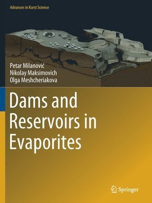 bokomslag Dams and Reservoirs in Evaporites