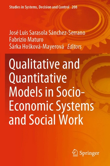 José Luis Sarasola Sánchez-Serrano, Fabrizio Maturo, Šárka Hošková-Mayerová - Qualitative and Quantitative Models in Socio-Economic Systems and Social Work, Häftad