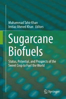 Sugarcane Biofuels 1